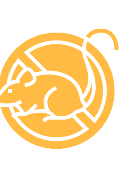 Icon1-01