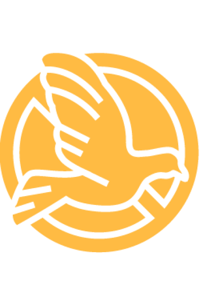 Icon6-01
